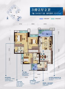 广东碧桂园房地产信息咨询 专业引领，洞见未来