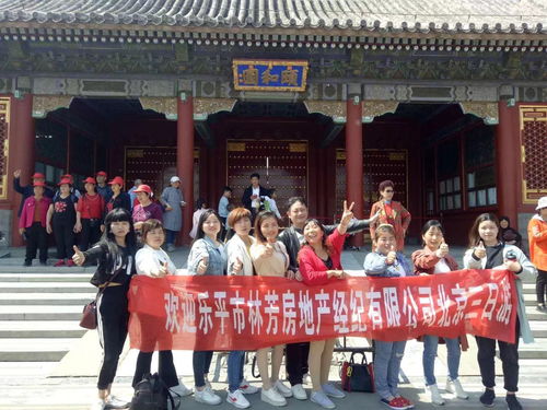 诚聘精英，共创辉煌 置业顾问与房地产信息咨询专业人才招募