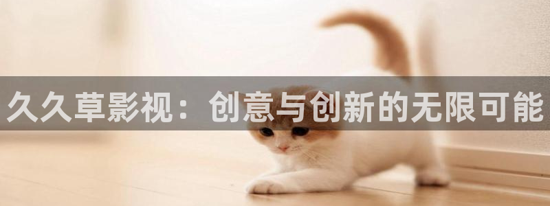 日韩理论影院：久久草影视：创意与创新的无限可能