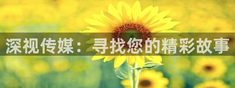 韩国理论电影,福利视频：深视传媒：寻找您的精彩故事