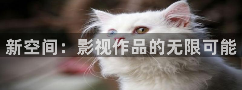 奇奇影视理论：新空间：影视作品的无限可能