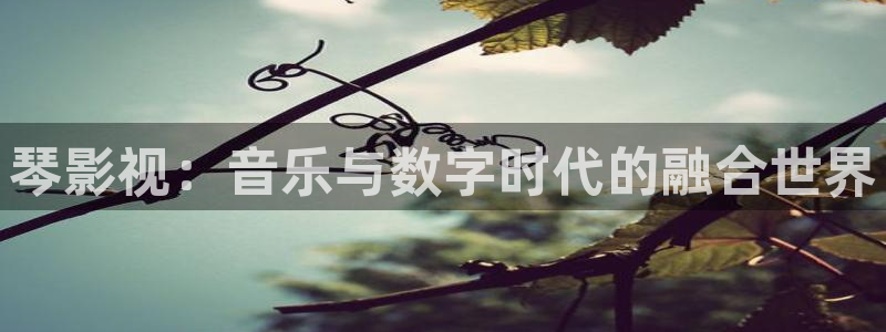 理论三级电影片：琴影视：音乐与数字时代的融合世界