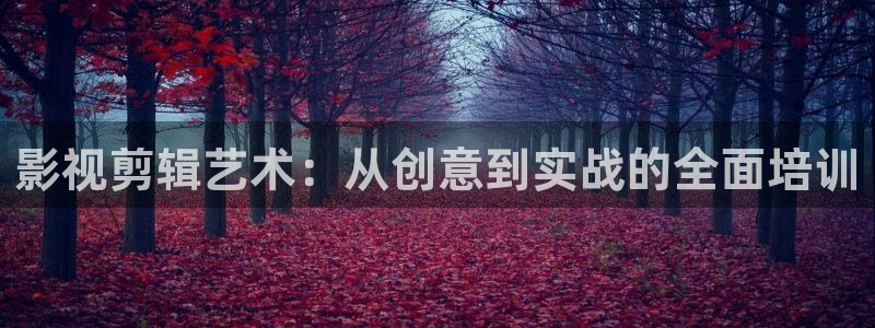 快播韩国理论电影：影视剪辑艺术：从创意到实战的全面培训