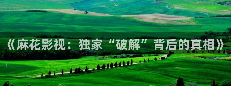 神马影院理论在线观看：《麻花影视：独家“破解”背后的真相》