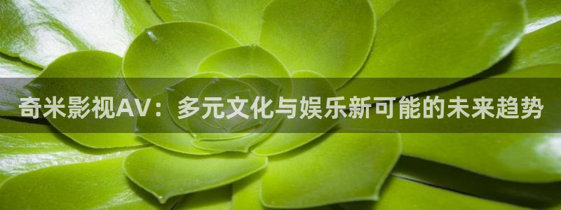 good理论电影：奇米影视AV：多元文化与娱乐新可能的未来趋势