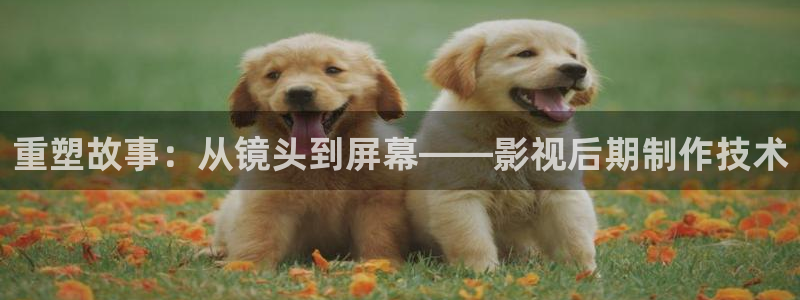 日本学生理论电影：重塑故事：从镜头到屏幕——影视后期制作技术
