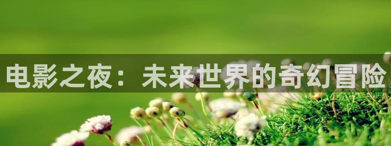 韩国理论片在线观看理伦电影：电影之夜：未来世界的奇幻冒险