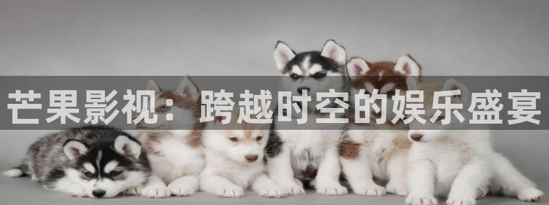 最新理论片网站：芒果影视：跨越时空的娱乐盛宴