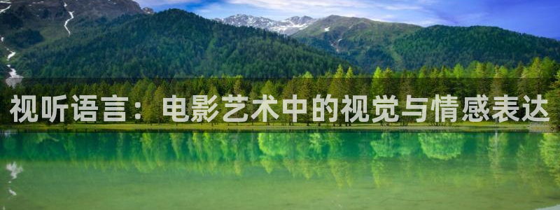 神马理论不卡电影：视听语言：电影艺术中的视觉与情感表达